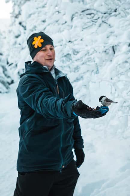 Särna: Brudslöjan Waterfalls Guided Hike with Lunch - Exploring the Old-Growth Forest