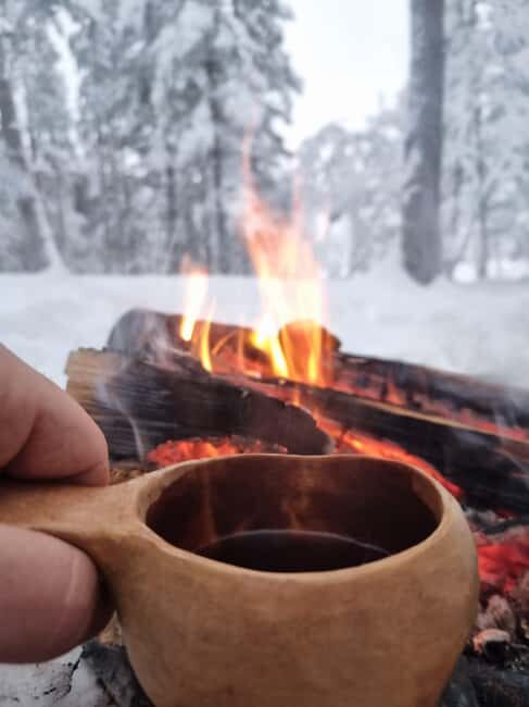Särna: Fulufjället National Park Guided Hike with Lunch - Practical Details & Tips