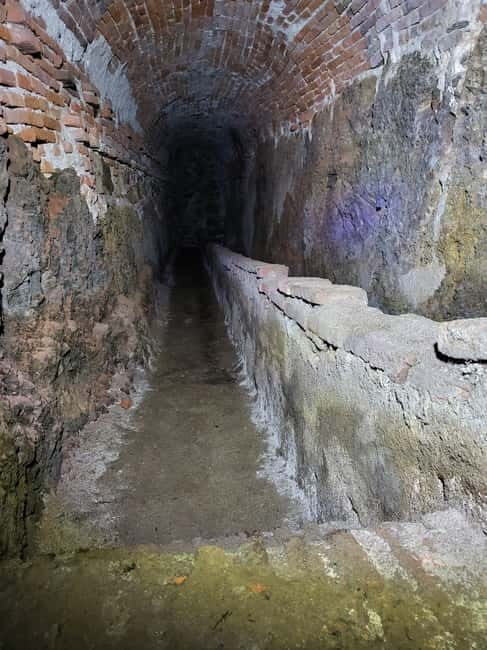 Savona: Guided Visit to the Underground Passages of the Priamàr - Who Will Love This Tour?
