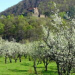 SB13 - Sibiu: Private Day Trip to Transylvanian Villages - What Makes This Tour Special?