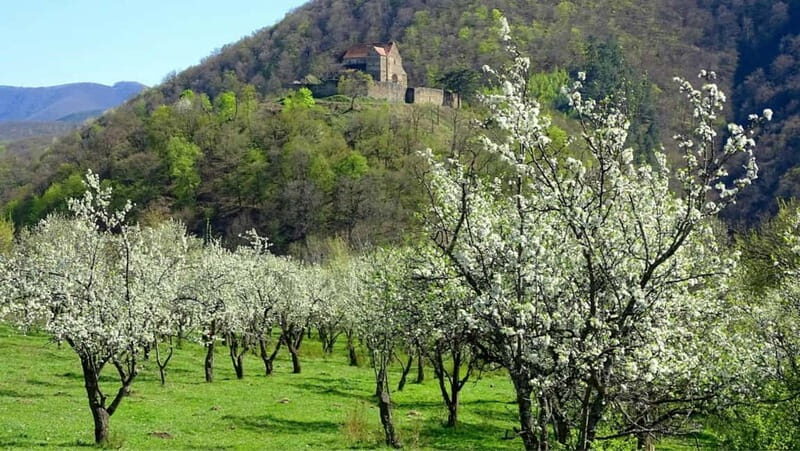 SB13 - Sibiu: Private Day Trip to Transylvanian Villages - What Makes This Tour Special?