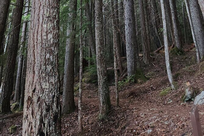 Scavenger Hunt Adventure with Geocaching in Whistler - Detailed Breakdown of the Experience  