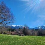 Scenic Valley Ride - E Bike Tour - Whistler Marmot Activity - Is This Tour Worth the Price?