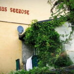 Schwabing: Insider Tour! Neighborhood, revolt, secrets in Munich's cult district - Exploring Schwabing’s Artistic Roots and Village Charm