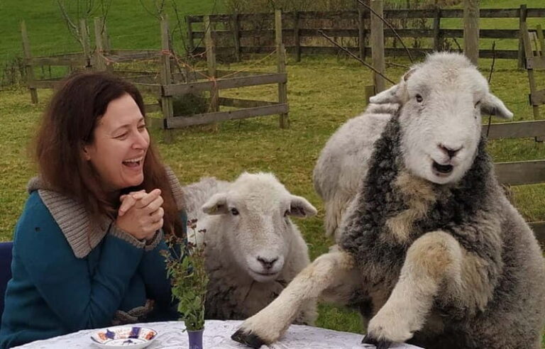 Scotland: Relaxation Retreat with Naughty Sheep - Practical Details and Logistics