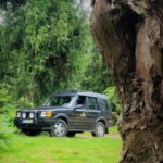 Secret Sunrises- An adventure to Madeiras Hidden Dawn Views - Why This Tour Might Be Perfect for You