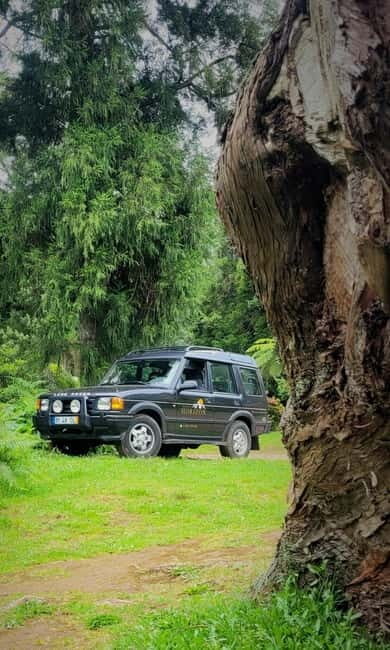 Secret Sunrises- An adventure to Madeiras Hidden Dawn Views - Why This Tour Might Be Perfect for You