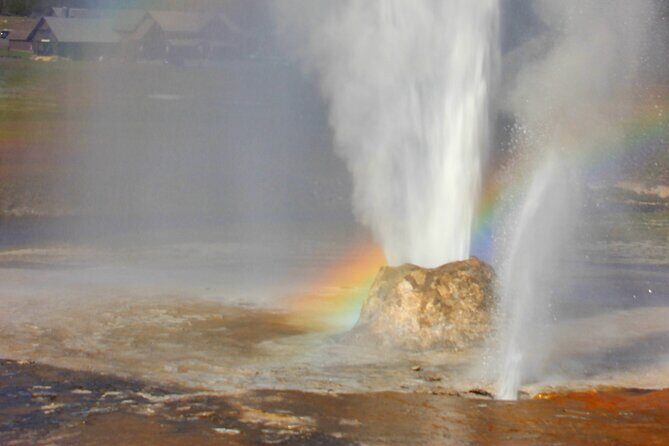 Self Guided Audio Walking Tour of Old Faithful Geyser Basin - Authentic Insights from Reviewers