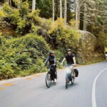 Self-Guided E-Bike Road Tour - Camacha to Monte with Lunch - Why This Tour Is Worth It