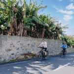 Self-Guided E-Bike Road Tour - Funchal to Câmara de Lobos - The Route and Stops