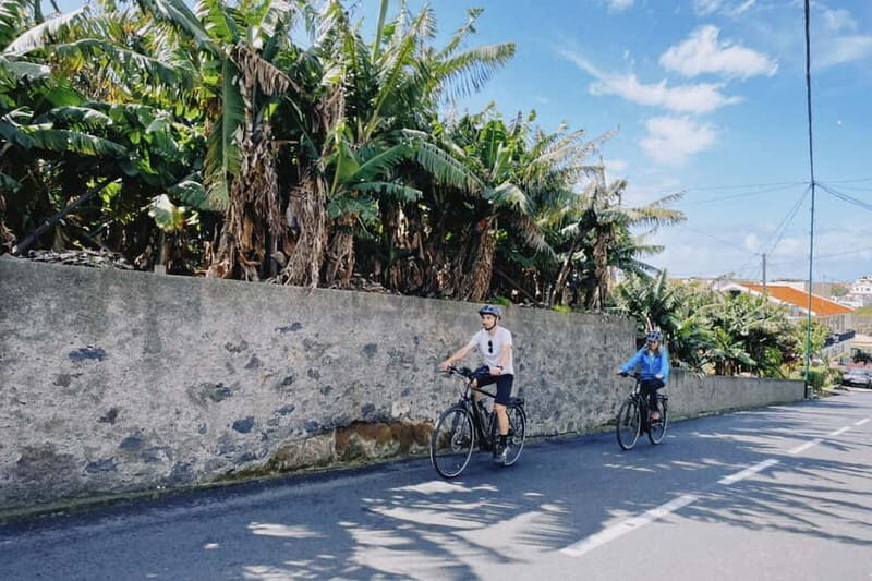 Self-Guided E-Bike Road Tour - Funchal to Câmara de Lobos - The Route and Stops