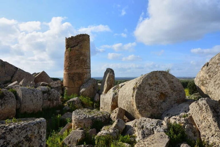 Selinunte: Archeological Park Entry Ticket & App Audioguide - Exploring Sicily’s Largest Archaeological Site