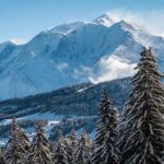 Semi Private Tour to Chamonix Mont-Blanc from Geneva - Scenic Journey from Geneva to Chamonix