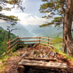 Serbia: Drina River House & Tara National Park Full Day Tour - An In-Depth Look at the Itinerary