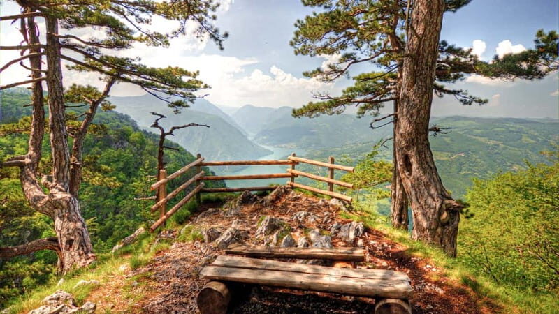 Serbia: Drina River House & Tara National Park Full Day Tour - An In-Depth Look at the Itinerary