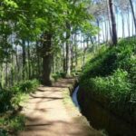 Serra dÁgua: A Scenic Levada Walk - Who Would Love This Tour?