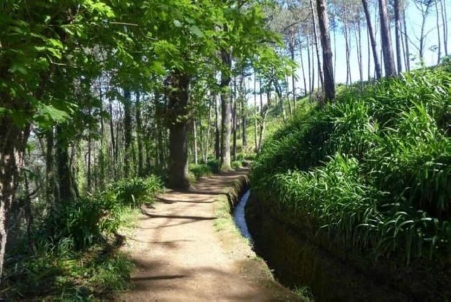 Serra dÁgua: A Scenic Levada Walk - Who Would Love This Tour?