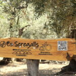 Serra de Tramuntana, Fornalutx: The olive tree: culture, cultivation, tasting. - Who Should Consider This Tour?