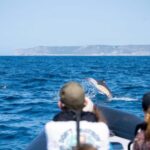 Sesimbra: Arrábida Dolphin and Whale Watching with Biologist - What Makes This Tour Unique?