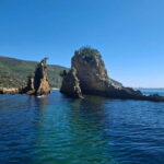 Sesimbra: Arrábida Natural Park and Tróia Sandbanks Tour - The Value of This Tour