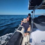 Sesimbra: Dolphin and Whales Watching with Biologist Guide - An In-Depth Look at the Dolphin and Whale Tour in Sesimbra