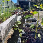 Sesimbra: Wood-fired bread workshop with rural breakfast - Good To Know