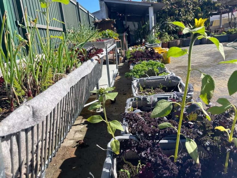 Sesimbra: Wood-fired bread workshop with rural breakfast - Good To Know