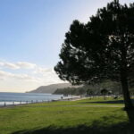 Setúbal: Private Walking Tour with Tastings - What to Expect During the Tour