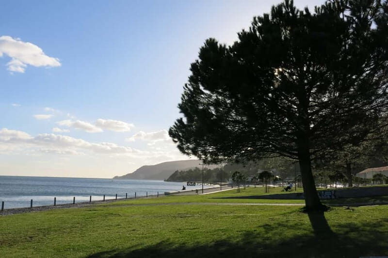 Setúbal: Private Walking Tour with Tastings - What to Expect During the Tour