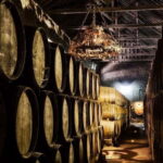 Setúbal Wine Tour: Discover the Moscatel Wine - Why This Tour Offers Great Value