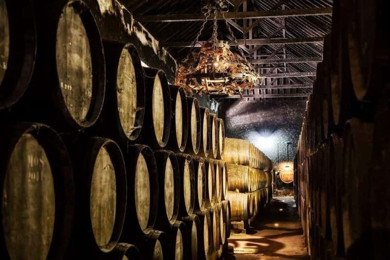 Setúbal Wine Tour: Discover the Moscatel Wine - Why This Tour Offers Great Value