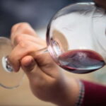 Sevilla: Fun Wine Tasting with an Spanish Sommelier - Who Should Book This Experience?