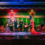 Seville: Flamenco at El Palacio Andaluz with Optional Dinner - Who Should Consider This Experience?