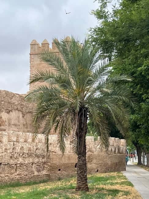 Seville: Guided Dutch Walking Tour with a Local - Practical Details and Value