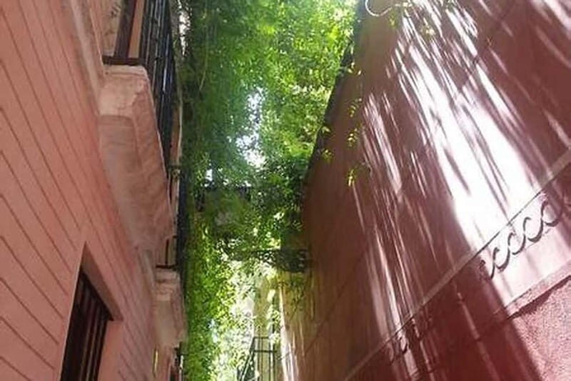 Seville: Jewish Quarter, History & Hidden Corners - Who Will Love This Tour?  