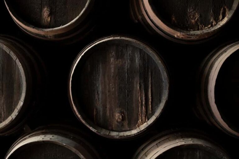 Seville: Visit Bodegas Góngora - Who Should Book This Tour?