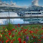 Seward to Anchorage Scenic Transfer Photo Tour - The Sum Up
