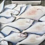 Shared Fishing Adventure in Icy Strait Hoonah Alaska - Who Will Love This Tour?