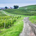 Sibiu & wine tasting tour (from Cluj) - What Makes This Tour Special?