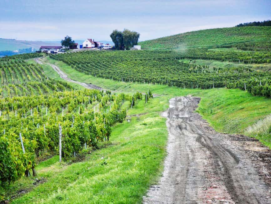 Sibiu & wine tasting tour (from Cluj) - What Makes This Tour Special?