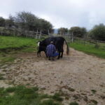 SICILIAN VILLAGES & RICOTTA PARTY departure from Cefalù area - A Deep Dive into the Itinerary