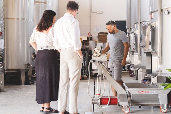 Sicilian Winery Experience in Alcamo - Authentic Experiences and Practical Insights from Reviews