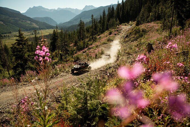 Side-by-Side Off-Roading Adventures on Cougar Mountain - The Itinerary: What to Expect From Start to Finish  