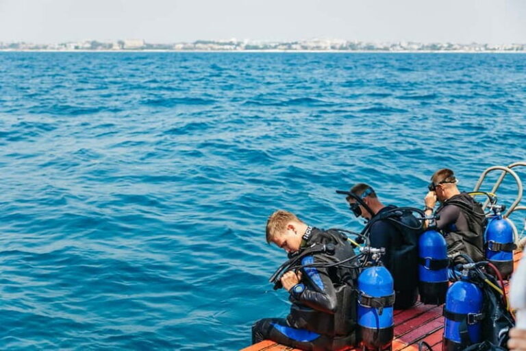 Side: Scuba Diving, Underwater Museum, 2 Dives incl. Lunch - The Dive Sites: What Youll Encounter