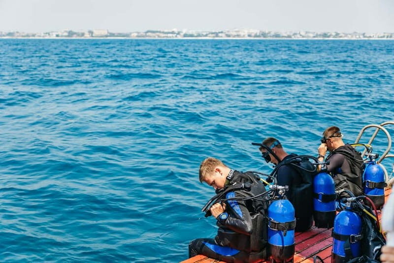 Side: Scuba Diving, Underwater Museum, 2 Dives incl. Lunch - The Dive Sites: What Youll Encounter