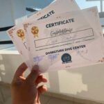 Side: Scuba Diving with Expert Diving Option - What Makes This Tour Stand Out?