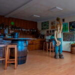 Sidra Vda. de Angelón: guided visit to a cider mill with tasting - Pricing and Value