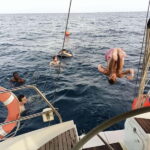 Sightseeing Sailing And Swim - What You’ll See from the Water