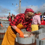 Siglufjordur: Herring Era Museum Entrance Ticket - Who Should Visit?