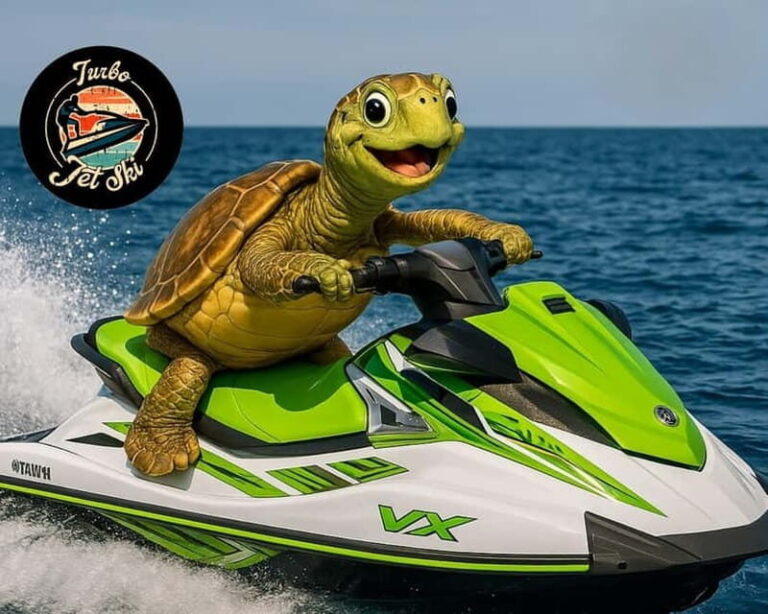 Single Jet Ski Ride with Pickup & Drop-off in Tenerife South - How the Experience Unfolds